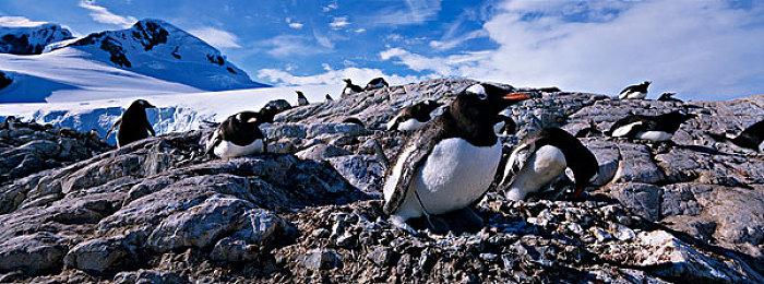 经典解谜游戏《亚尔默逊：冒险者的遗产》全面重制