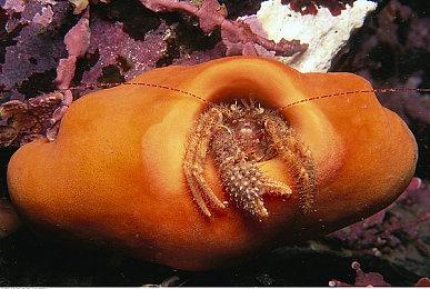 《英雄联盟》传奇选手Uzi巴黎全马完赛：5小时41分35秒